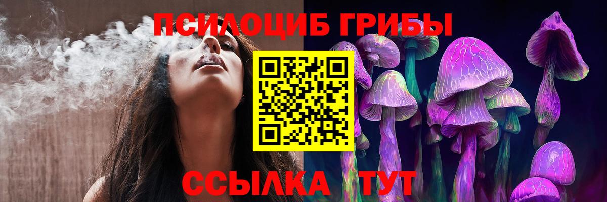 магазин продажи наркотиков  Вход с VPN  Качканар  Псилоцибиновые грибы прущие грибы 