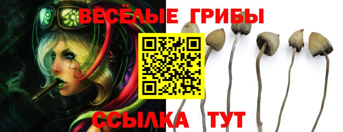 Галлюциногенные грибы MAGIC MUSHROOMS Качканар